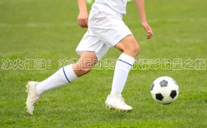 k1体育网站登陆官网