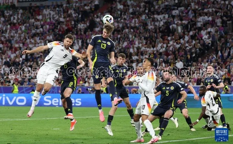 k1体育平台官网